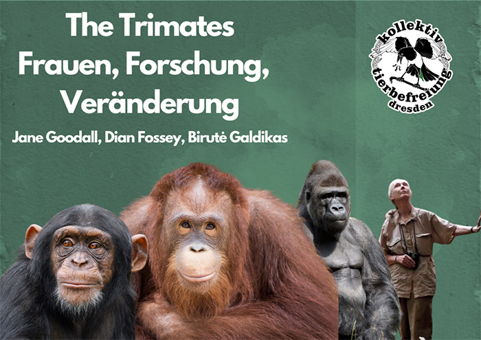 Vanstaltungsbild: Lesekreis: The Trimates – Frauen, Forschung, Veränderung
